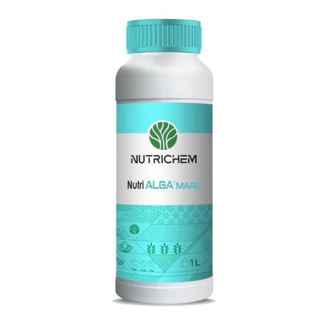 nutrialga 1l