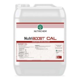 Nutriboost Calcium