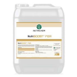 Nutriboost Fer