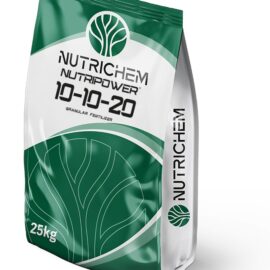 NUTRIPOWER 10-10-20